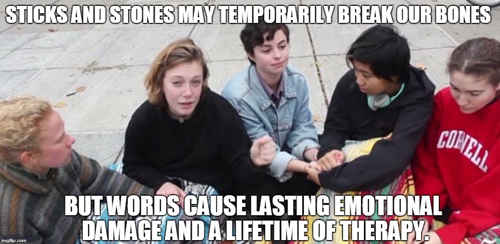 =( | STICKS AND STONES MAY TEMPORARILY BREAK OUR BONES; BUT WORDS CAUSE LASTING EMOTIONAL DAMAGE AND A LIFETIME OF THERAPY. | image tagged in snowflakes,memes | made w/ Imgflip meme maker
