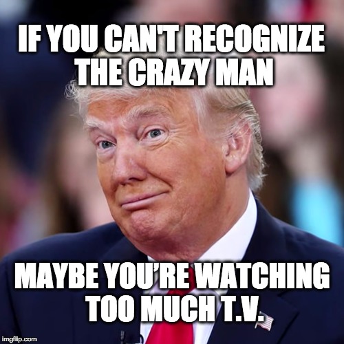 If you can't recognize the crazy man, maybe you're watching too much T.V. | IF YOU CAN'T RECOGNIZE THE CRAZY MAN; MAYBE YOU’RE WATCHING TOO MUCH T.V. | image tagged in donald trump,trump | made w/ Imgflip meme maker