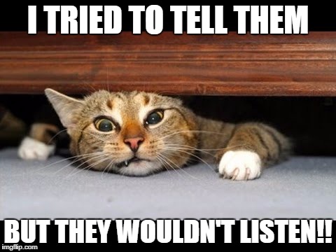 I TRIED TO TELL THEM; BUT THEY WOULDN'T LISTEN!! | made w/ Imgflip meme maker