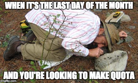 Looking Under Rocks | WHEN IT'S THE LAST DAY OF THE MONTH; AND YOU'RE LOOKING TO MAKE QUOTA | image tagged in looking under rocks | made w/ Imgflip meme maker