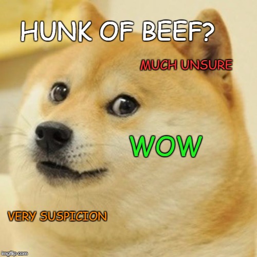 Doge Meme | HUNK OF BEEF? MUCH UNSURE WOW VERY SUSPICION | image tagged in memes,doge | made w/ Imgflip meme maker