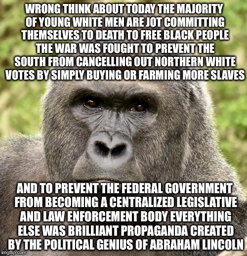 Har | WRONG THINK ABOUT TODAY THE MAJORITY OF YOUNG WHITE MEN ARE JOT COMMITTING THEMSELVES TO DEATH TO FREE BLACK PEOPLE THE WAR WAS FOUGHT TO PR | image tagged in har | made w/ Imgflip meme maker