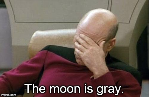 Captain Picard Facepalm Meme | The moon is gray. | image tagged in memes,captain picard facepalm | made w/ Imgflip meme maker