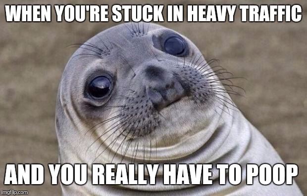 IBS, the struggle is real  | WHEN YOU'RE STUCK IN HEAVY TRAFFIC; AND YOU REALLY HAVE TO POOP | image tagged in memes,awkward moment sealion,jbmemegeek,poop | made w/ Imgflip meme maker