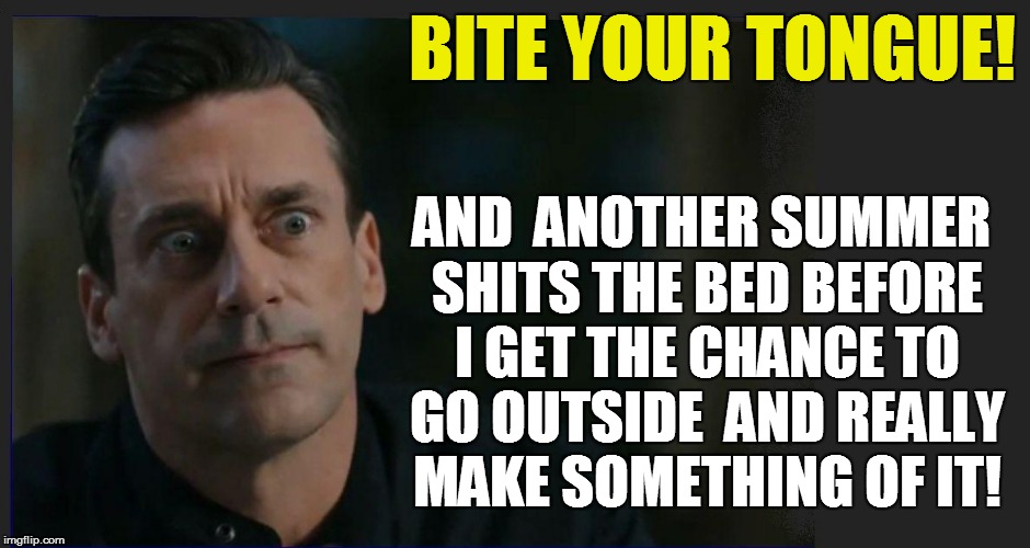 BITE YOUR TONGUE! AND  ANOTHER SUMMER SHITS THE BED BEFORE I GET THE CHANCE TO GO OUTSIDE  AND REALLY MAKE SOMETHING OF IT! | made w/ Imgflip meme maker