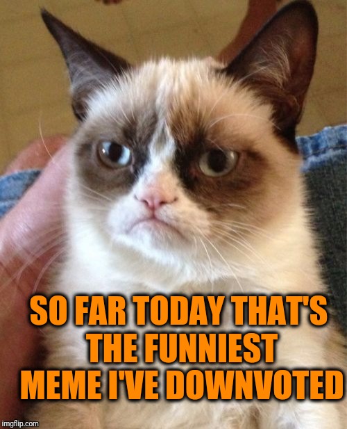 Grumpy Cat Meme | SO FAR TODAY THAT'S THE FUNNIEST MEME I'VE DOWNVOTED | image tagged in memes,grumpy cat | made w/ Imgflip meme maker