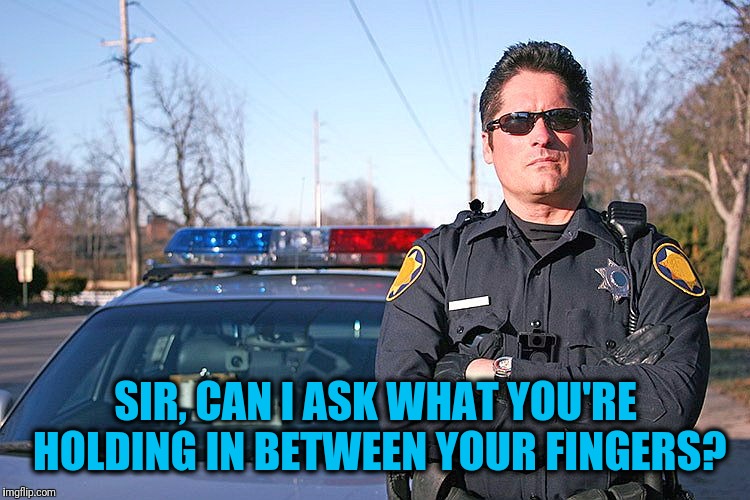 police | SIR, CAN I ASK WHAT YOU'RE HOLDING IN BETWEEN YOUR FINGERS? | image tagged in police | made w/ Imgflip meme maker