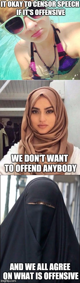 IT OKAY TO CENSOR SPEECH IF IT'S OFFENSIVE; WE DON'T WANT TO OFFEND ANYBODY; AND WE ALL AGREE ON WHAT IS OFFENSIVE | image tagged in memes,free speech | made w/ Imgflip meme maker