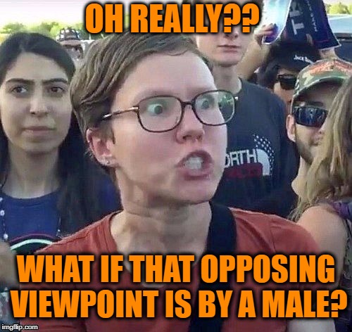 foggy | OH REALLY?? WHAT IF THAT OPPOSING VIEWPOINT IS BY A MALE? | image tagged in triggered feminist | made w/ Imgflip meme maker