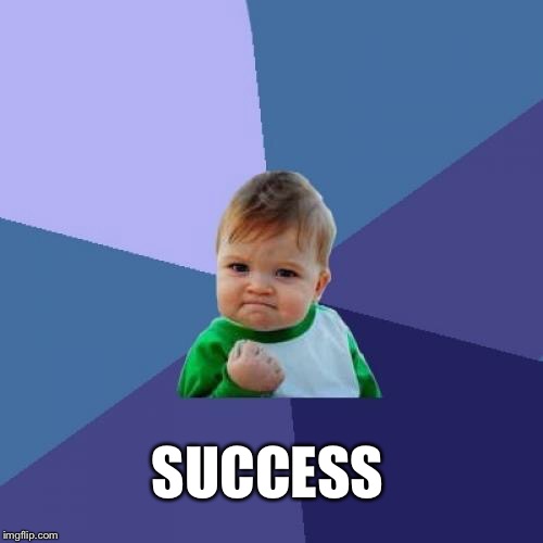Success Kid Meme | SUCCESS | image tagged in memes,success kid | made w/ Imgflip meme maker