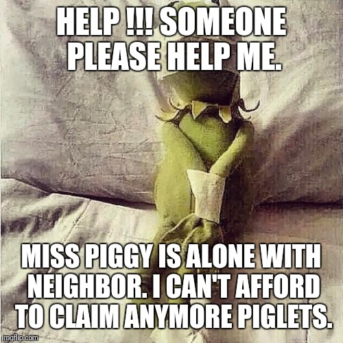 Kermit Bound | HELP !!! SOMEONE PLEASE HELP ME. MISS PIGGY IS ALONE WITH NEIGHBOR. I CAN'T AFFORD TO CLAIM ANYMORE PIGLETS. | image tagged in kermit bound | made w/ Imgflip meme maker