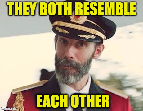Captain Obvious | THEY BOTH RESEMBLE EACH OTHER | image tagged in captain obvious | made w/ Imgflip meme maker