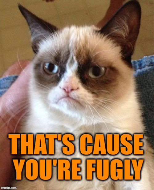 Grumpy Cat Meme | THAT'S CAUSE YOU'RE FUGLY | image tagged in memes,grumpy cat | made w/ Imgflip meme maker
