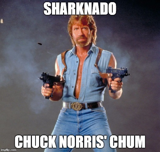 Chuck Norris Guns | SHARKNADO; CHUCK NORRIS' CHUM | image tagged in memes,chuck norris guns,chuck norris | made w/ Imgflip meme maker