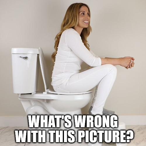 I know some people are over modest in the bathroom, but this goes too far. | WHAT'S WRONG WITH THIS PICTURE? | image tagged in toilet,improper potty training | made w/ Imgflip meme maker