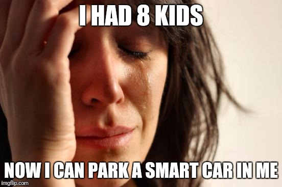 First World Problems Meme | I HAD 8 KIDS NOW I CAN PARK A SMART CAR IN ME | image tagged in memes,first world problems | made w/ Imgflip meme maker