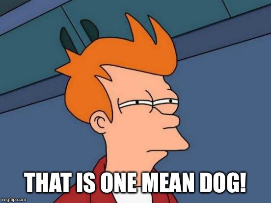 Futurama Fry Meme | THAT IS ONE MEAN DOG! | image tagged in memes,futurama fry | made w/ Imgflip meme maker