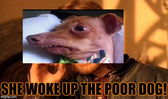 SHE WOKE UP THE POOR DOG! | made w/ Imgflip meme maker