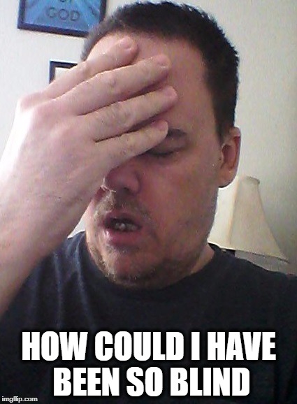 face palm | HOW COULD I HAVE BEEN SO BLIND | image tagged in face palm | made w/ Imgflip meme maker