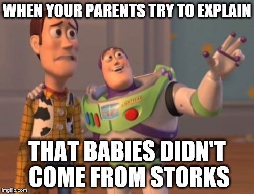 X, X Everywhere | WHEN YOUR PARENTS TRY TO EXPLAIN; THAT BABIES DIDN'T COME FROM STORKS | image tagged in memes,x x everywhere | made w/ Imgflip meme maker