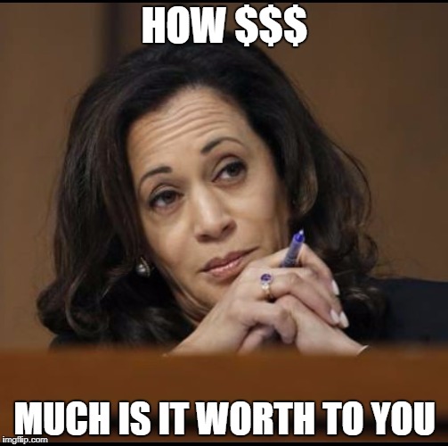 Kamala Harris  | HOW $$$; MUCH IS IT WORTH TO YOU | image tagged in kamala harris | made w/ Imgflip meme maker