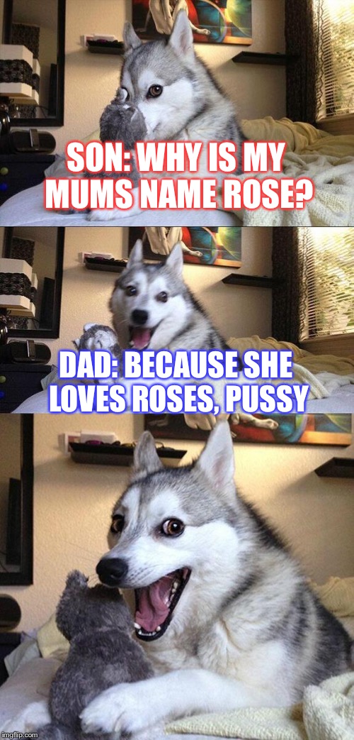 Bad Pun Dog Meme | SON: WHY IS MY MUMS NAME ROSE? DAD: BECAUSE SHE LOVES ROSES, PUSSY | image tagged in memes,bad pun dog | made w/ Imgflip meme maker