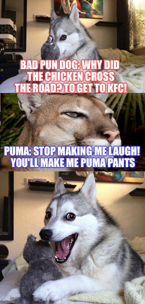 Bad pun dog's friend puma | BAD PUN DOG: WHY DID THE CHICKEN CROSS THE ROAD? TO GET TO KFC! PUMA: STOP MAKING ME LAUGH! YOU'LL MAKE ME PUMA PANTS | image tagged in memes,bad pun dog | made w/ Imgflip meme maker