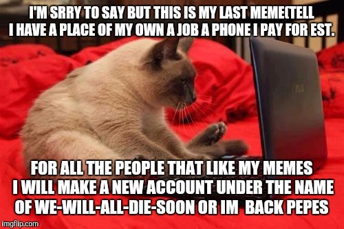 quit looking at cats online | I'M SRRY TO SAY BUT THIS IS MY LAST MEME(TELL I HAVE A PLACE OF MY OWN A JOB A PHONE I PAY FOR EST. FOR ALL THE PEOPLE THAT LIKE MY MEMES I WILL MAKE A NEW ACCOUNT UNDER THE NAME OF WE-WILL-ALL-DIE-SOON OR IM  BACK PEPES | image tagged in quit looking at cats online | made w/ Imgflip meme maker