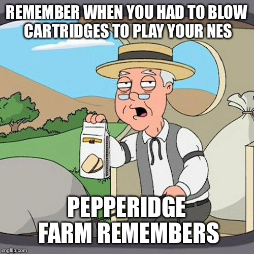 Pepperidge Farm Remembers | REMEMBER WHEN YOU HAD TO BLOW CARTRIDGES TO PLAY YOUR NES; PEPPERIDGE FARM REMEMBERS | image tagged in memes,pepperidge farm remembers | made w/ Imgflip meme maker