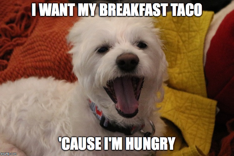 I WANT MY BREAKFAST TACO; 'CAUSE I'M HUNGRY | made w/ Imgflip meme maker