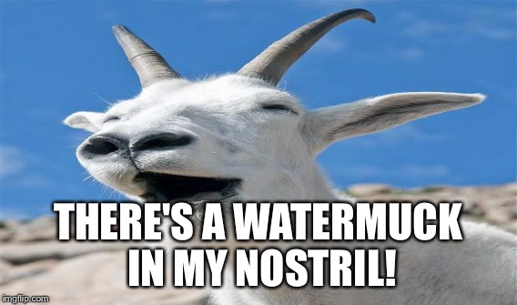 THERE'S A WATERMUCK IN MY NOSTRIL! | made w/ Imgflip meme maker