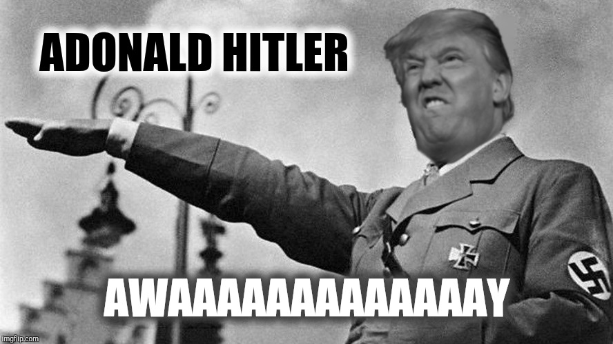 Donald Trump Hitler | ADONALD HITLER AWAAAAAAAAAAAAAY | image tagged in donald trump hitler | made w/ Imgflip meme maker