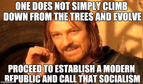 One Does Not Simply Meme | ONE DOES NOT SIMPLY CLIMB DOWN FROM THE TREES AND EVOLVE PROCEED TO ESTABLISH A MODERN REPUBLIC AND CALL THAT SOCIALISM | image tagged in memes,one does not simply | made w/ Imgflip meme maker