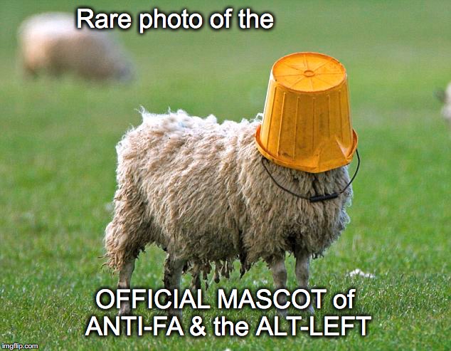 ANTI-FA / ALT-LEFT MASCOT | Rare photo of the; OFFICIAL MASCOT of ANTI-FA & the ALT-LEFT | image tagged in anti-fa alt-left blind sheep | made w/ Imgflip meme maker