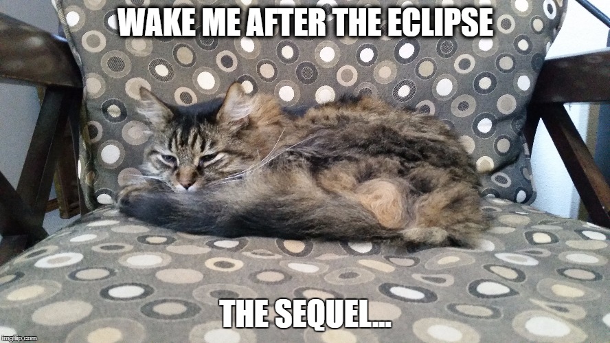 WAKE ME AFTER THE ECLIPSE; THE SEQUEL... | image tagged in solar eclipse | made w/ Imgflip meme maker