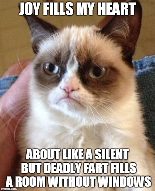Grumpy Cat | JOY FILLS MY HEART; ABOUT LIKE A SILENT BUT DEADLY FART FILLS A ROOM WITHOUT WINDOWS | image tagged in memes,grumpy cat | made w/ Imgflip meme maker