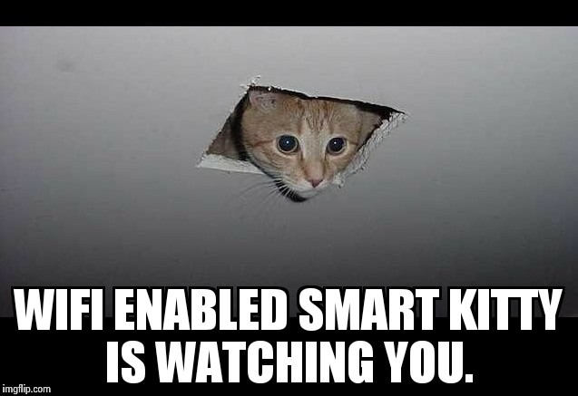 Smart Kitty  | image tagged in surveillance,privacy | made w/ Imgflip meme maker