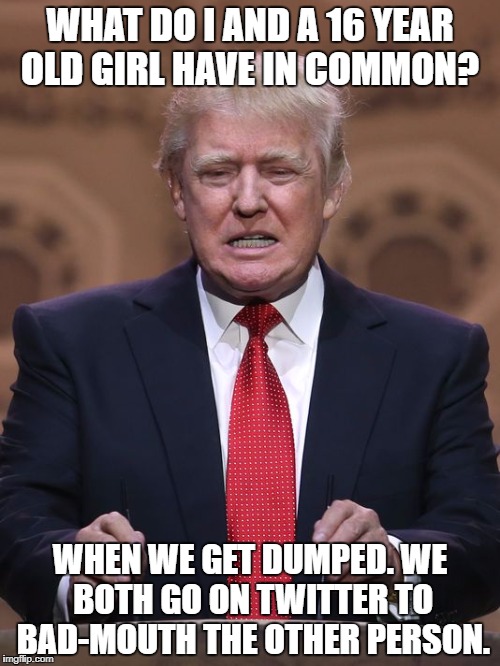 Donald Trump | WHAT DO I AND A 16 YEAR OLD GIRL HAVE IN COMMON? WHEN WE GET DUMPED. WE BOTH GO ON TWITTER TO BAD-MOUTH THE OTHER PERSON. | image tagged in donald trump | made w/ Imgflip meme maker