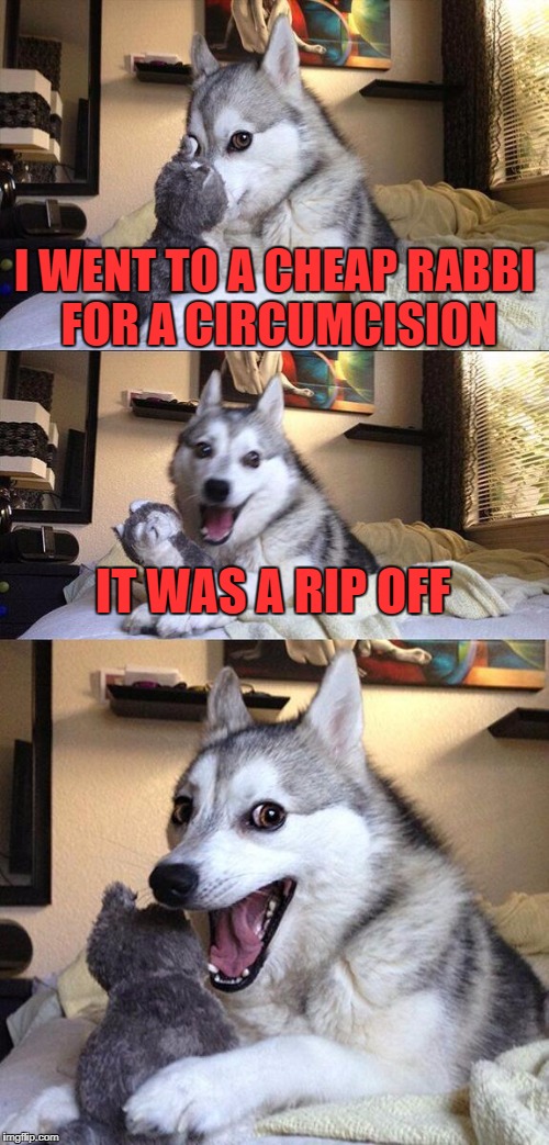 he had some nerve to want a tip too | I WENT TO A CHEAP RABBI FOR A CIRCUMCISION; IT WAS A RIP OFF | image tagged in memes,bad pun dog | made w/ Imgflip meme maker