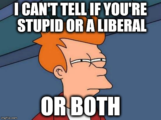 Futurama Fry Meme | I CAN'T TELL IF YOU'RE STUPID OR A LIBERAL OR BOTH | image tagged in memes,futurama fry | made w/ Imgflip meme maker