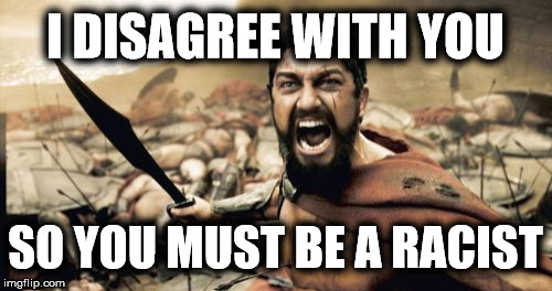 Sparta Leonidas Meme | I DISAGREE WITH YOU SO YOU MUST BE A RACIST | image tagged in memes,sparta leonidas | made w/ Imgflip meme maker