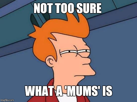 Futurama Fry Meme | NOT TOO SURE WHAT A 'MUMS' IS | image tagged in memes,futurama fry | made w/ Imgflip meme maker