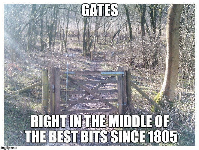 GATES; RIGHT IN THE MIDDLE OF THE BEST BITS SINCE 1805 | made w/ Imgflip meme maker