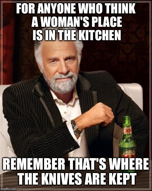The Most Interesting Man In The World Meme | FOR ANYONE WHO THINK A WOMAN'S PLACE IS IN THE KITCHEN; REMEMBER THAT'S WHERE THE KNIVES ARE KEPT | image tagged in memes,the most interesting man in the world | made w/ Imgflip meme maker