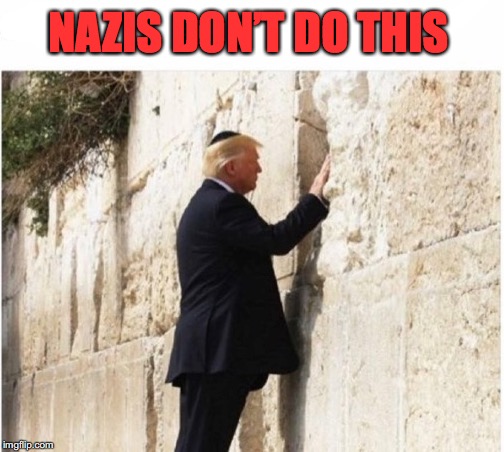 A Wall That Has Stood For Millennia  | NAZIS DON’T DO THIS | image tagged in jews,wall,serious trump | made w/ Imgflip meme maker