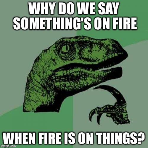 Philosoraptor Meme | WHY DO WE SAY SOMETHING'S ON FIRE; WHEN FIRE IS ON THINGS? | image tagged in memes,philosoraptor | made w/ Imgflip meme maker