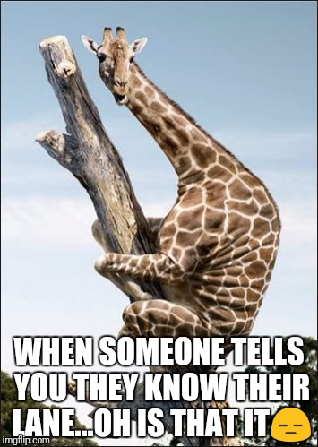 giraffe climbing a tree | WHEN SOMEONE TELLS YOU THEY KNOW THEIR LANE...OH IS THAT IT😑 | image tagged in giraffe climbing a tree | made w/ Imgflip meme maker