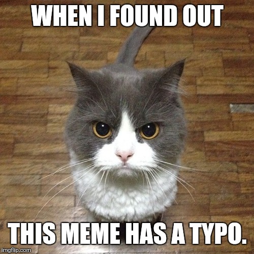 WHEN I FOUND OUT THIS MEME HAS A TYPO. | made w/ Imgflip meme maker