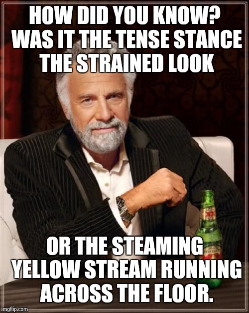 The Most Interesting Man In The World Meme | HOW DID YOU KNOW? WAS IT THE TENSE STANCE THE STRAINED LOOK OR THE STEAMING YELLOW STREAM RUNNING ACROSS THE FLOOR. | image tagged in memes,the most interesting man in the world | made w/ Imgflip meme maker