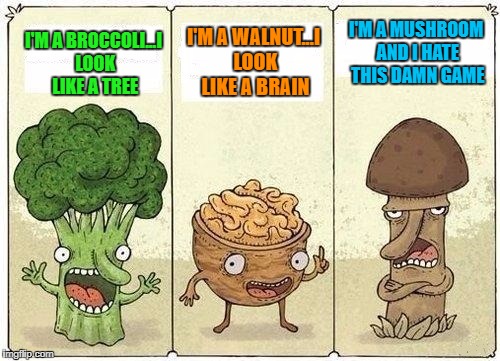 What do your food items look like? | I'M A MUSHROOM AND I HATE THIS DAMN GAME; I'M A WALNUT...I LOOK LIKE A BRAIN; I'M A BROCCOLI...I LOOK LIKE A TREE | image tagged in two veggies and a nut,memes,comics,funny,vegetables,food games | made w/ Imgflip meme maker